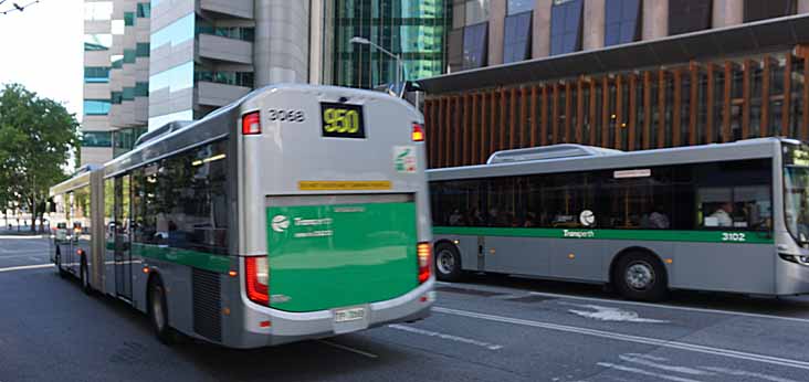 Transperth | australia.SHOWBUS.com BUS IMAGE GALLERY