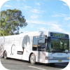 Dubbo Buslines