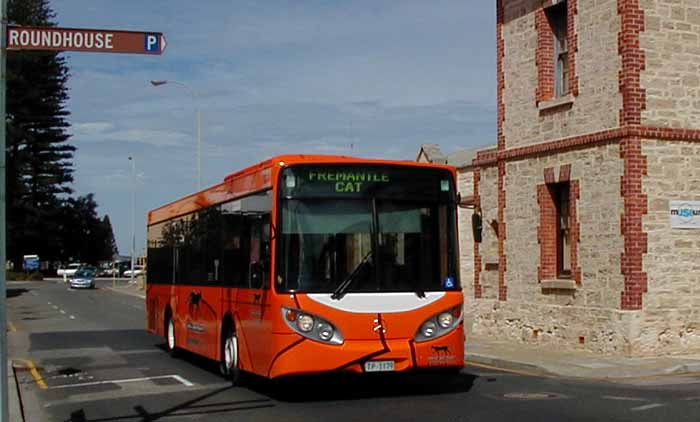Transperth | australia.SHOWBUS.com BUS IMAGE GALLERY