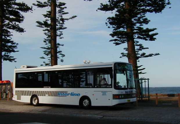 Interline Volgren at Manly Beach