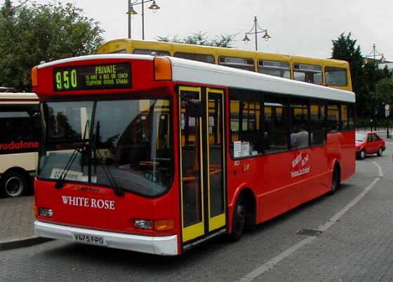 White Rose Dennis Dart SLF