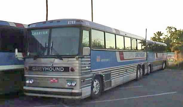 Greyhound Americruiser2