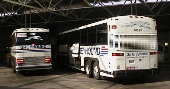 Greyhound Chicago