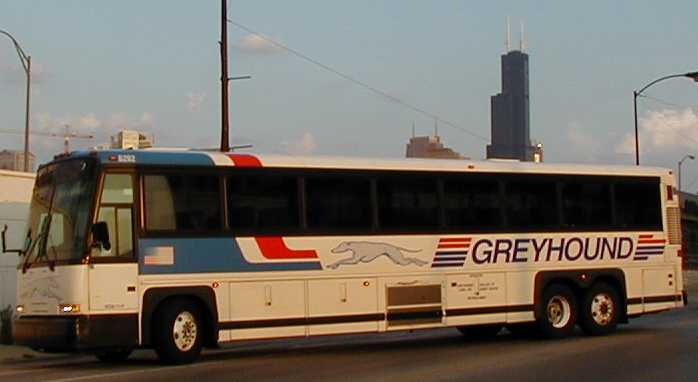 Greyhound Americruiser2