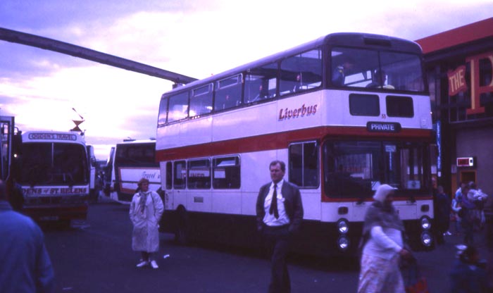 Liverbus