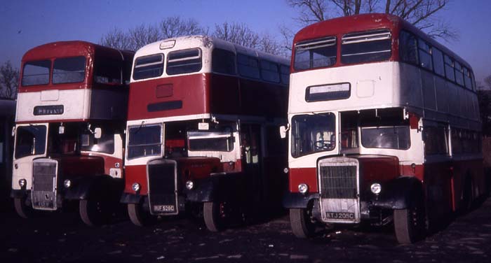 Leyland Titans with Eynon, Trimsaran