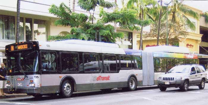 TheTransit NewFlyer DE60LF 135 artic