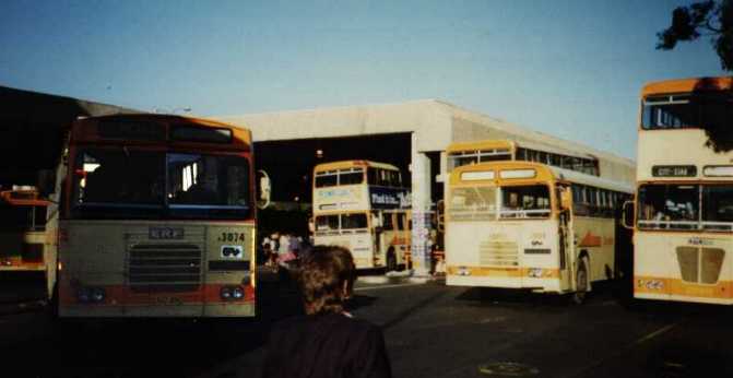 Golden Arrow ERF