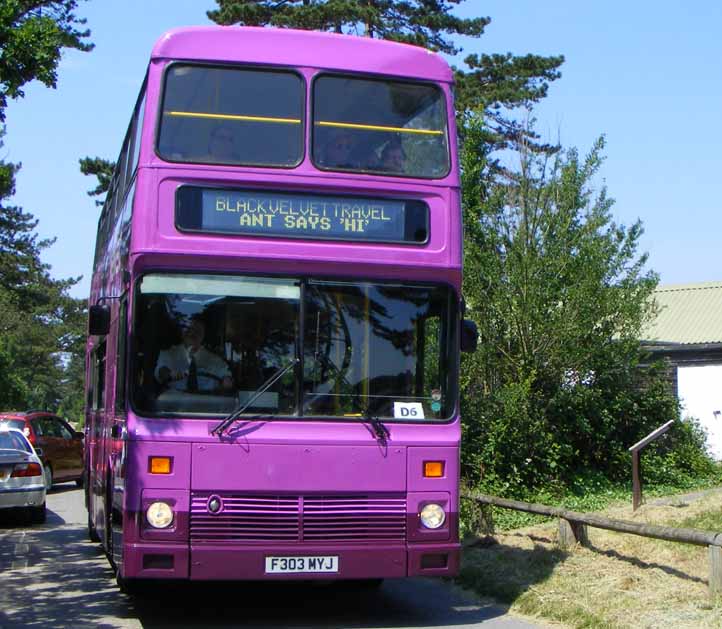 Black Velvet Travel Volvo Citybus Northern Counties F303MYJ