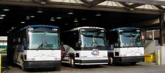 Greyhound Canada MCI 102-DL3 L6135, L6113 & Coach Canada 3319