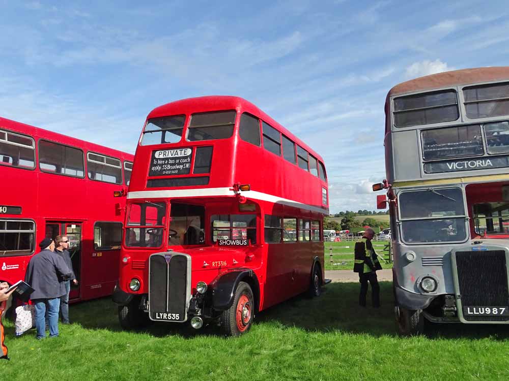 London Transport AEC Regent 3RT Park Royal RT3316