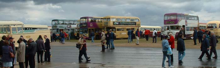 Golden Jubilee buses