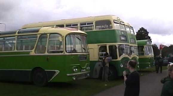 Southdowns at SHOWBUS 99